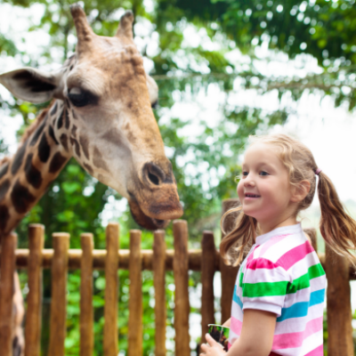 Dudley Zoo & Castle